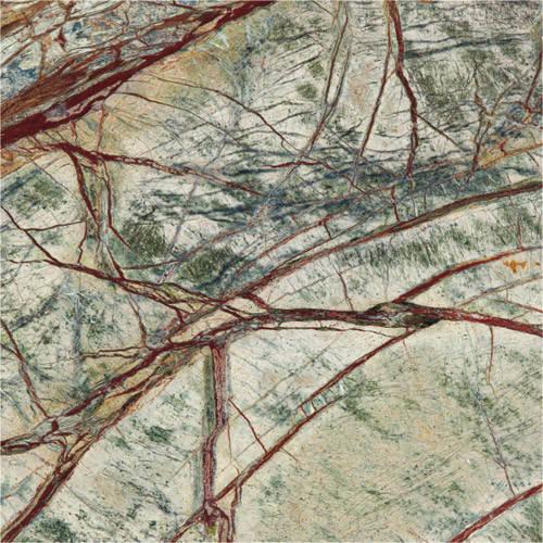 imageportofolio